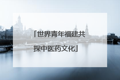 世界青年福建共探中医药文化