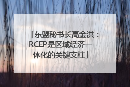 东盟秘书长高金洪：RCEP是区域经济一体化的关键支柱