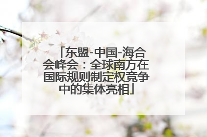 东盟-中国-海合会峰会：全球南方在国际规则制定权竞争中的集体亮相