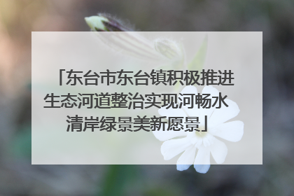 东台市东台镇积极推进生态河道整治实现河畅水清岸绿景美新愿景