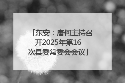 东安：唐何主持召开2025年第16次县委常委会会议