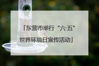 东营市举行“六·五”世界环境日宣传活动