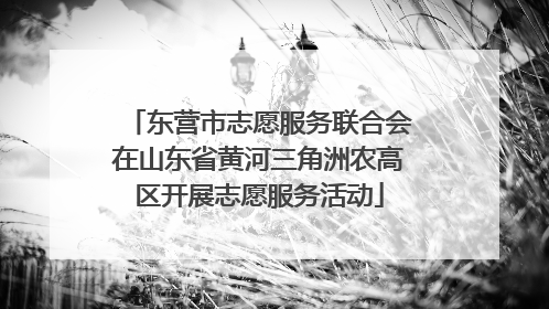东营市志愿服务联合会在山东省黄河三角洲农高区开展志愿服务活动