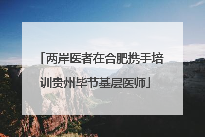 两岸医者在合肥携手培训贵州毕节基层医师