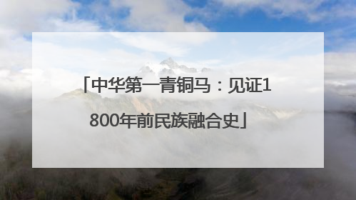 中华第一青铜马：见证1800年前民族融合史