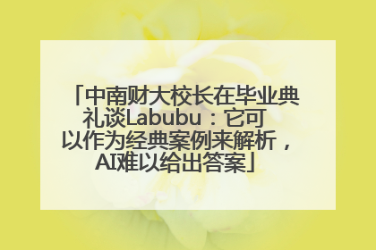 中南财大校长在毕业典礼谈Labubu：它可以作为经典案例来解析，AI难以给出答案