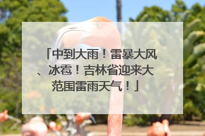 中到大雨！雷暴大风、冰雹！吉林省迎来大范围雷雨天气！