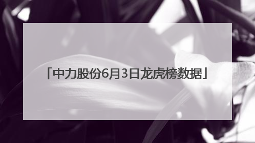 中力股份6月3日龙虎榜数据