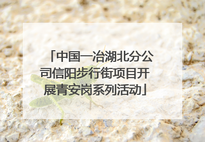 中国一冶湖北分公司信阳步行街项目开展青安岗系列活动