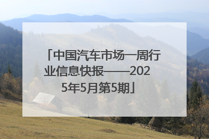 中国汽车市场一周行业信息快报——2025年5月第5期