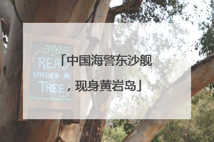 中国海警东沙舰，现身黄岩岛