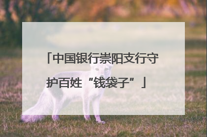 中国银行崇阳支行守护百姓“钱袋子”
