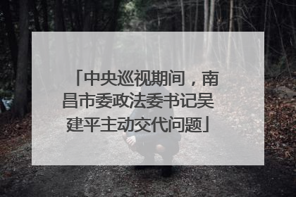 中央巡视期间，南昌市委政法委书记吴建平主动交代问题