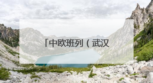 中欧班列（武汉）累计发运510列，提前完成半年发运目标