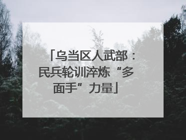 乌当区人武部：民兵轮训淬炼“多面手”力量