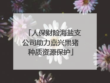 人保财险海盐支公司助力嘉兴黑猪种质资源保护