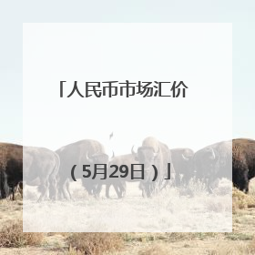 人民币市场汇价（5月29日）