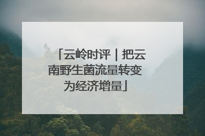 云岭时评｜把云南野生菌流量转变为经济增量