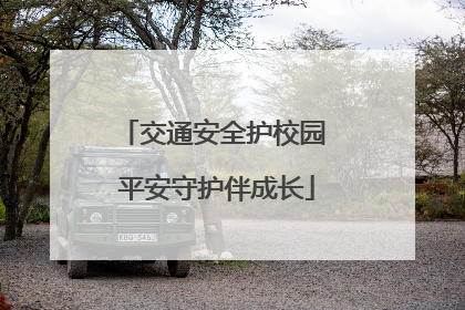 交通安全护校园 平安守护伴成长