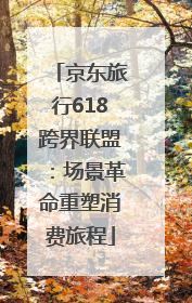 京东旅行618跨界联盟：场景革命重塑消费旅程