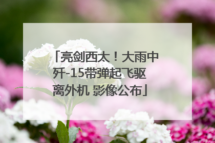 亮剑西太！大雨中歼-15带弹起飞驱离外机 影像公布