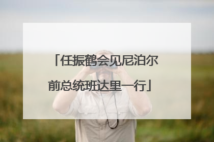 任振鹤会见尼泊尔前总统班达里一行
