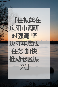 任振鹤在庆阳市调研时强调 坚决守牢底线任务 加快推动老区振兴