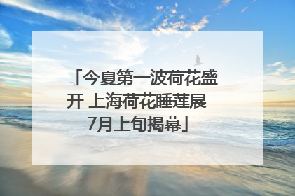 今夏第一波荷花盛开 上海荷花睡莲展7月上旬揭幕
