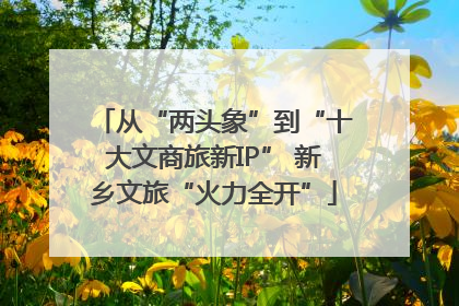 从“两头象”到“十大文商旅新IP” 新乡文旅“火力全开”