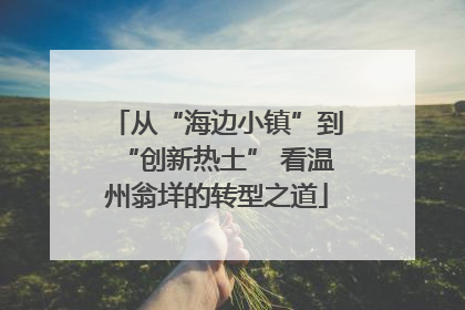 从“海边小镇”到“创新热土” 看温州翁垟的转型之道