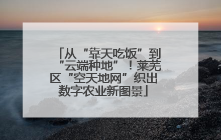 从“靠天吃饭”到“云端种地”！莱芜区“空天地网”织出数字农业新图景