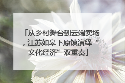 从乡村舞台到云端卖场，江苏如皋下原镇演绎“文化经济”双重奏