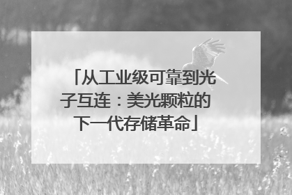 从工业级可靠到光子互连：美光颗粒的下一代存储革命
