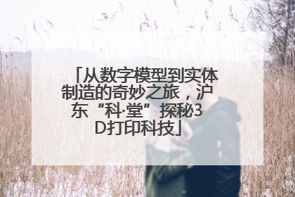 从数字模型到实体制造的奇妙之旅，沪东“科·堂”探秘3D打印科技