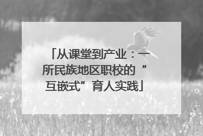 从课堂到产业：一所民族地区职校的“互嵌式”育人实践