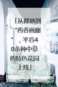 从裸地到“药香画廊”，平谷40余种中草药特色花园上线