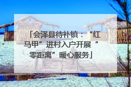 会泽县待补镇：“红马甲”进村入户开展“零距离”暖心服务