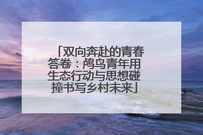 双向奔赴的青春答卷：鸬鸟青年用生态行动与思想碰撞书写乡村未来