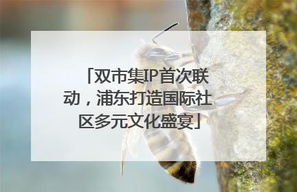 双市集IP首次联动，浦东打造国际社区多元文化盛宴