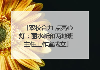 双校合力 点亮心灯：丽水新和两地班主任工作室成立