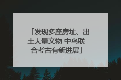 发现多座房址、出土大量文物 中乌联合考古有新进展
