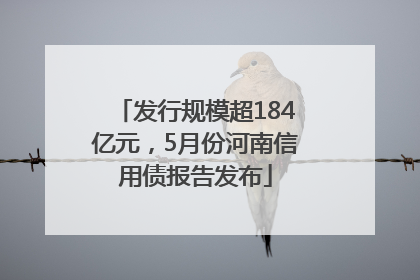 发行规模超184亿元，5月份河南信用债报告发布