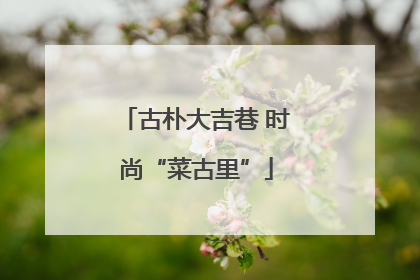 古朴大吉巷 时尚“菜古里”