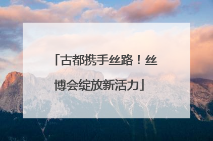 古都携手丝路！丝博会绽放新活力