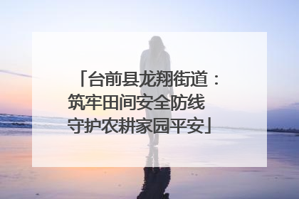 台前县龙翔街道：筑牢田间安全防线 守护农耕家园平安