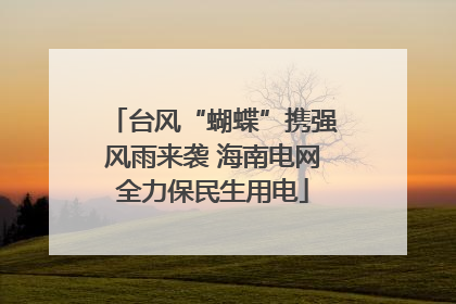 台风“蝴蝶”携强风雨来袭 海南电网全力保民生用电