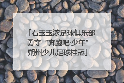 右玉玉浓足球俱乐部勇夺“奔跑吧·少年”朔州少儿足球桂冠
