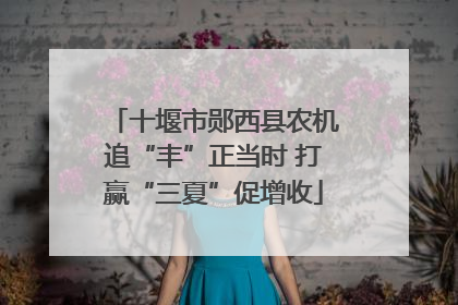 十堰市郧西县农机追“丰”正当时 打赢“三夏”促增收