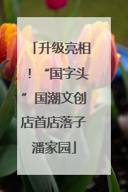 升级亮相！“国字头”国潮文创店首店落子潘家园