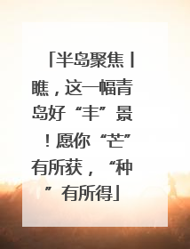 半岛聚焦丨瞧，这一幅青岛好“丰”景！愿你“芒”有所获，“种”有所得